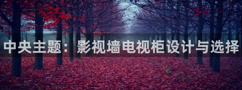 探花在线看：中央主题：影视墙电视柜设计与选择