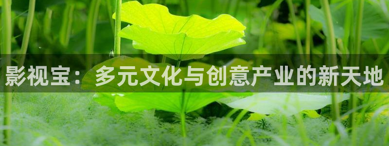 在线视频 探花：影视宝：多元文化与创意产业的新天地