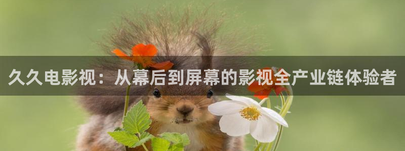 视频一区 探花：久久电影视：从幕后到屏幕的影视全产业链体验者