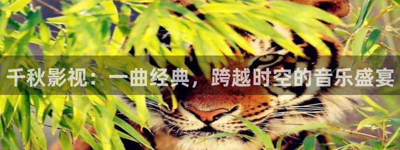 探花视频神马在线观看：千秋影视：一曲经典，跨越时空的音乐盛宴