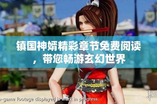 镇国神婿精彩章节免费阅读，带您畅游玄幻世界