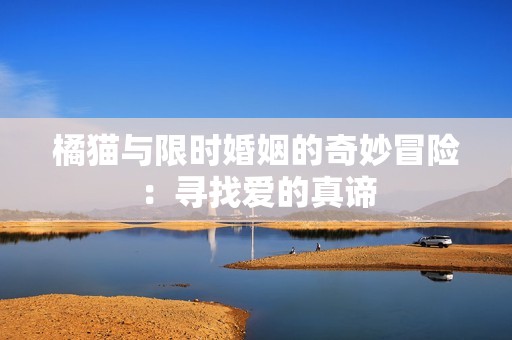 橘猫与限时婚姻的奇妙冒险：寻找爱的真谛