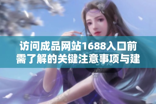 访问成品网站1688入口前需了解的关键注意事项与建议