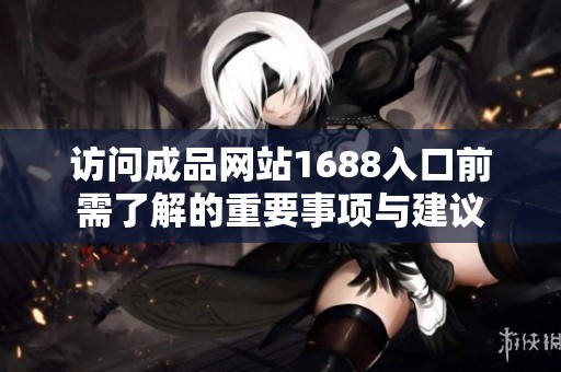 访问成品网站1688入口前需了解的重要事项与建议