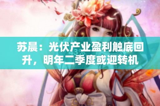 苏晨：光伏产业盈利触底回升，明年二季度或迎转机