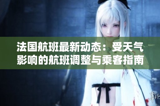 法国航班最新动态：受天气影响的航班调整与乘客指南